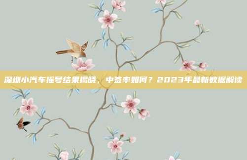 深圳小汽车摇号结果揭晓，中签率如何？2023年最新数据解读