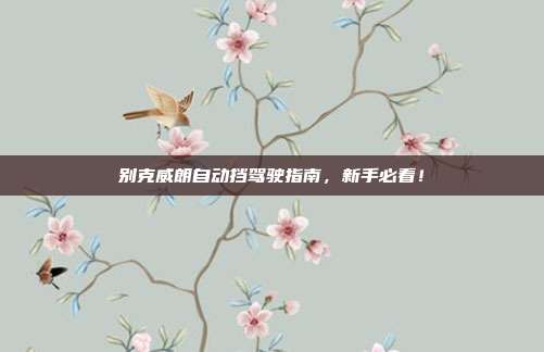 别克威朗自动挡驾驶指南，新手必看！