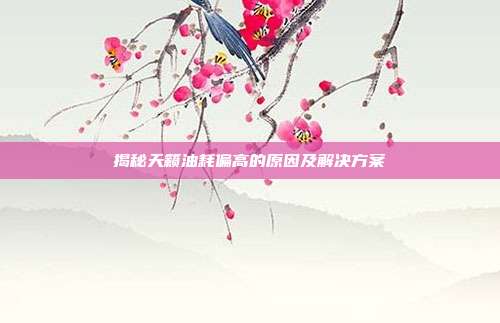 揭秘天籁油耗偏高的原因及解决方案