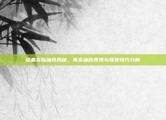 猛禽实际油耗揭秘，真实油耗表现与驾驶技巧分析