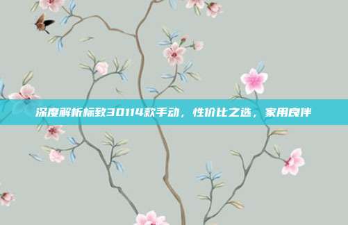 深度解析标致30114款手动，性价比之选，家用良伴