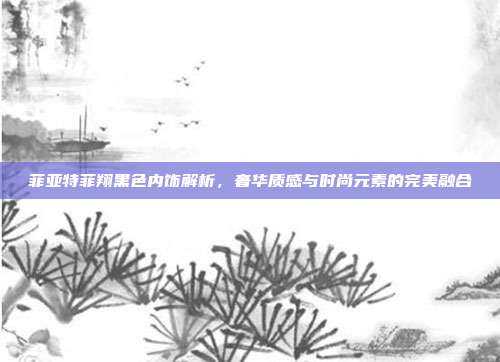 菲亚特菲翔黑色内饰解析，奢华质感与时尚元素的完美融合
