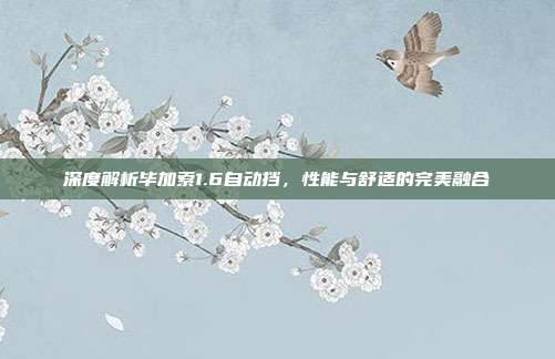 深度解析毕加索1.6自动挡，性能与舒适的完美融合