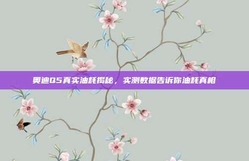 奥迪Q5真实油耗揭秘，实测数据告诉你油耗真相