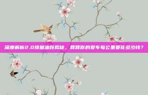 深度解析2.0排量油耗揭秘，算算你的爱车每公里要花多少钱？