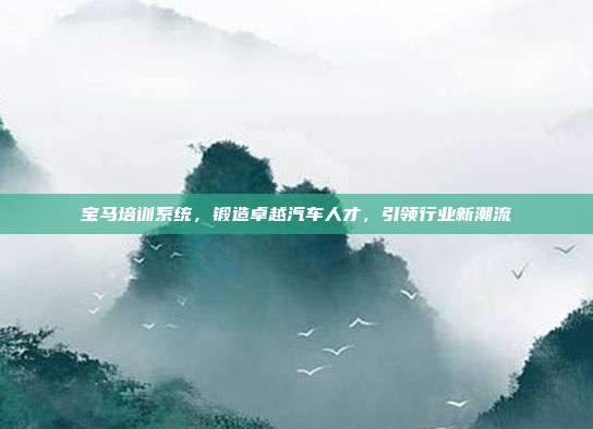 宝马培训系统，锻造卓越汽车人才，引领行业新潮流