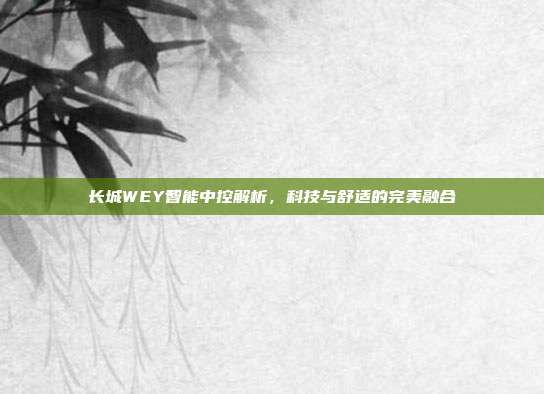 长城WEY智能中控解析，科技与舒适的完美融合