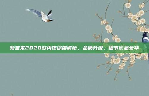 新宝来2020款内饰深度解析，品质升级，细节彰显豪华