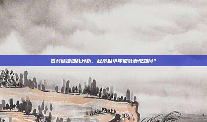 吉利熊猫油耗分析，经济型小车油耗表现如何？