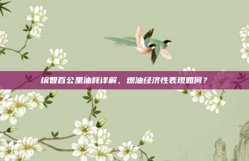 缤智百公里油耗详解，燃油经济性表现如何？