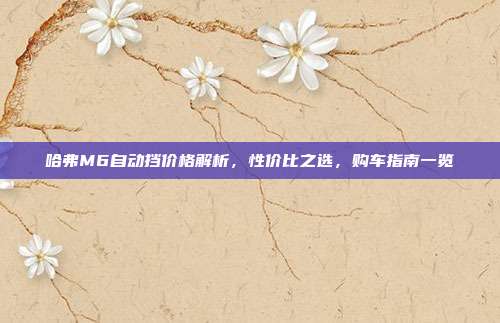 哈弗M6自动挡价格解析，性价比之选，购车指南一览