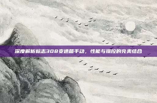 深度解析标志308变速箱手动，性能与操控的完美结合