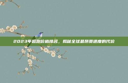 2023年超跑价格排名，揭秘全球最昂贵速度的代价