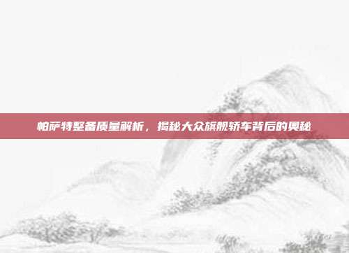 帕萨特整备质量解析，揭秘大众旗舰轿车背后的奥秘