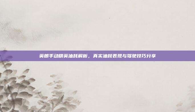 英朗手动精英油耗解析，真实油耗表现与驾驶技巧分享