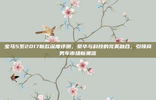 宝马5系2017新款深度评测，豪华与科技的完美融合，引领商务车市场新潮流
