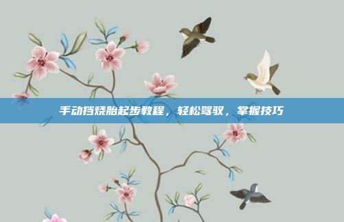 手动挡烧胎起步教程，轻松驾驭，掌握技巧