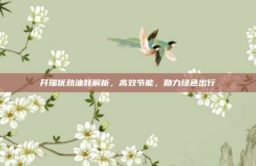 开瑞优劲油耗解析，高效节能，助力绿色出行