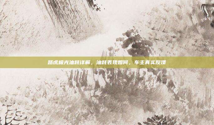 路虎极光油耗详解，油耗表现如何，车主真实反馈