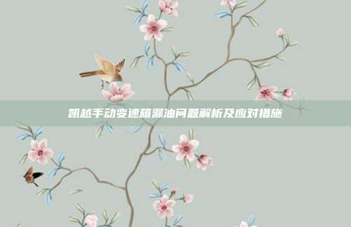 凯越手动变速箱漏油问题解析及应对措施