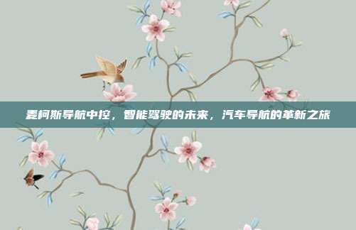 麦柯斯导航中控，智能驾驶的未来，汽车导航的革新之旅
