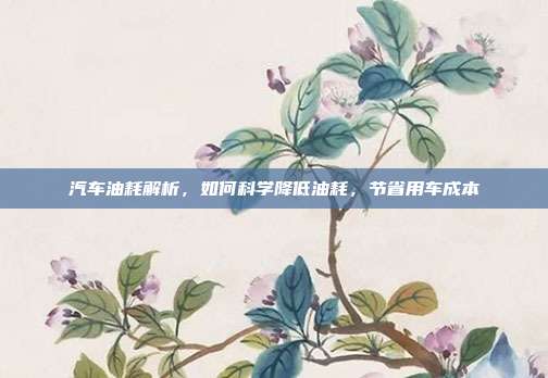 汽车油耗解析，如何科学降低油耗，节省用车成本