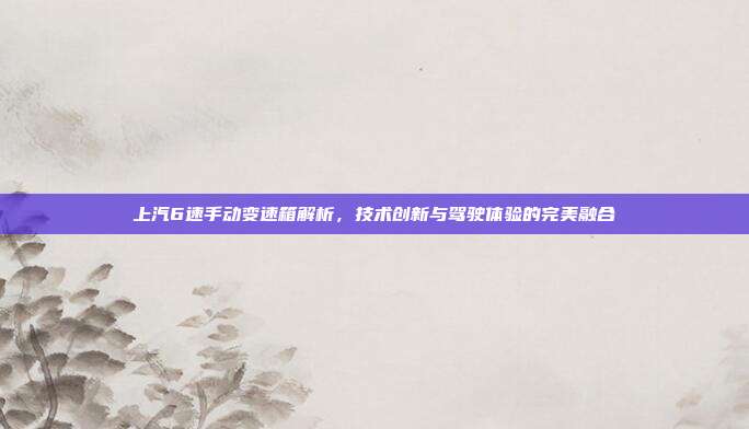 上汽6速手动变速箱解析，技术创新与驾驶体验的完美融合