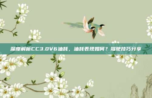 深度解析CC3.0V6油耗，油耗表现如何？驾驶技巧分享