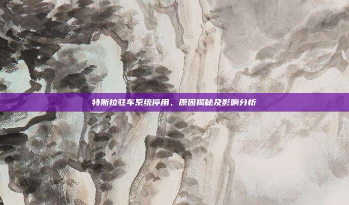特斯拉驻车系统停用，原因揭秘及影响分析