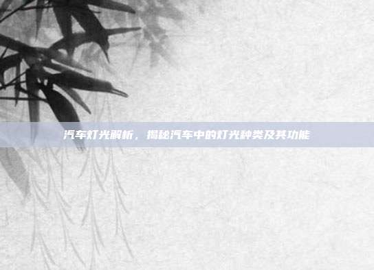 汽车灯光解析，揭秘汽车中的灯光种类及其功能