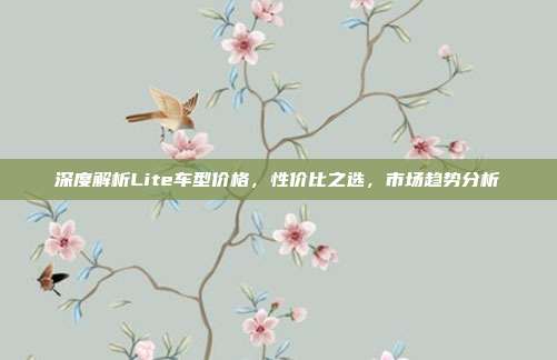 深度解析Lite车型价格，性价比之选，市场趋势分析