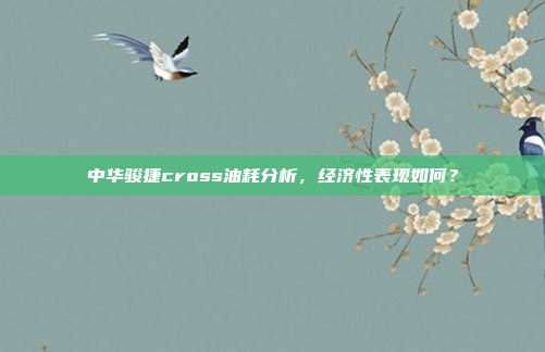 中华骏捷cross油耗分析，经济性表现如何？