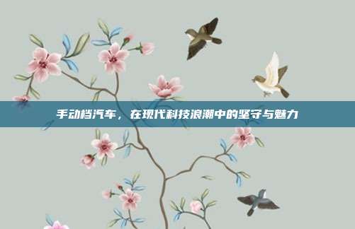 手动档汽车，在现代科技浪潮中的坚守与魅力