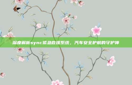 深度解析sync紧急救援系统，汽车安全护航的守护神