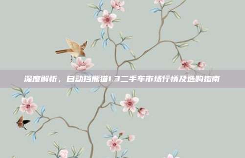 深度解析，自动挡熊猫1.3二手车市场行情及选购指南