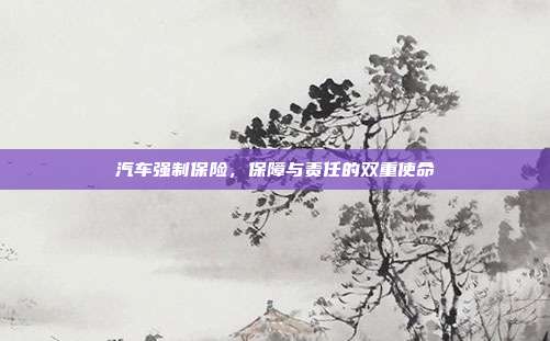 汽车强制保险，保障与责任的双重使命