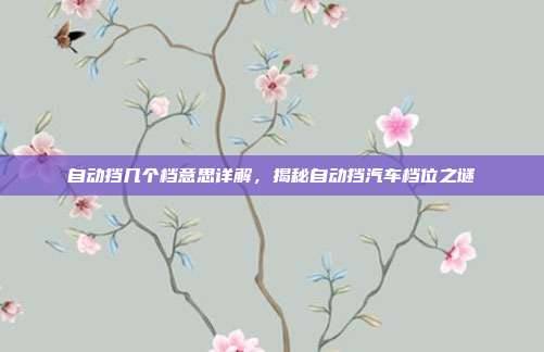 自动挡几个档意思详解，揭秘自动挡汽车档位之谜