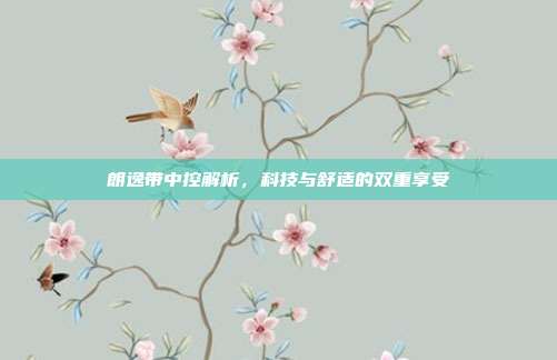 朗逸带中控解析，科技与舒适的双重享受