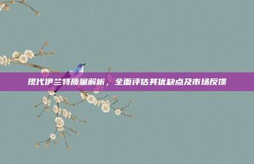 现代伊兰特质量解析，全面评估其优缺点及市场反馈