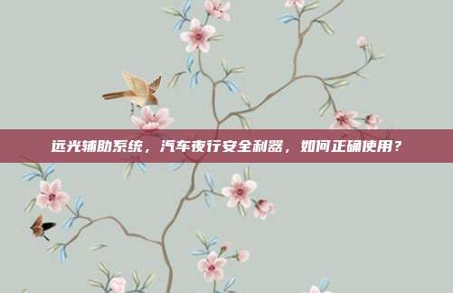 远光辅助系统，汽车夜行安全利器，如何正确使用？