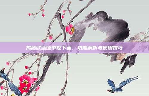 揭秘欧蓝德中控下面，功能解析与使用技巧