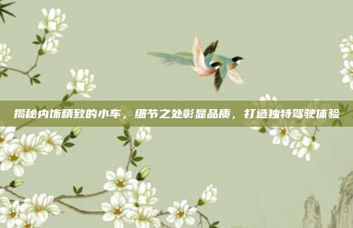 揭秘内饰精致的小车，细节之处彰显品质，打造独特驾驶体验