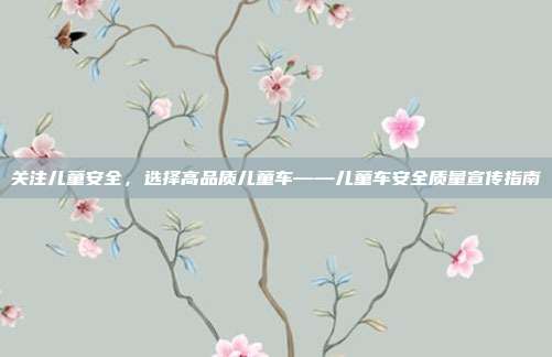 关注儿童安全，选择高品质儿童车——儿童车安全质量宣传指南