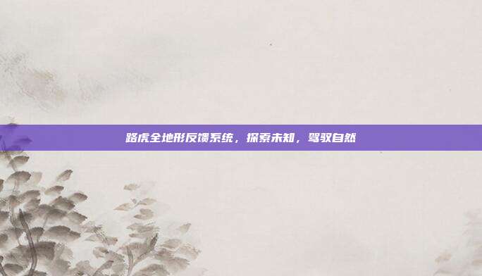路虎全地形反馈系统，探索未知，驾驭自然