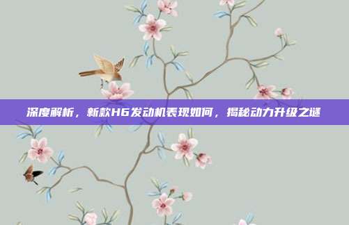 深度解析，新款H6发动机表现如何，揭秘动力升级之谜