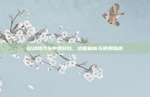 自动挡汽车中的B挡，功能解析与使用指南