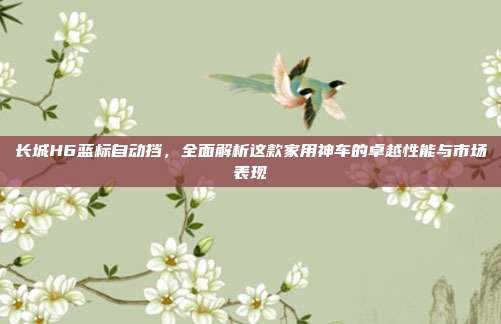长城H6蓝标自动挡，全面解析这款家用神车的卓越性能与市场表现