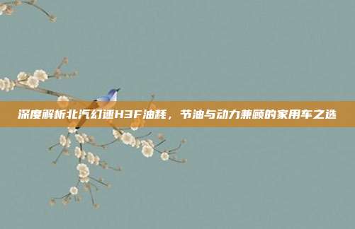 深度解析北汽幻速H3F油耗，节油与动力兼顾的家用车之选