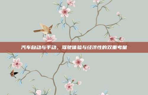 汽车自动与手动，驾驶体验与经济性的双重考量