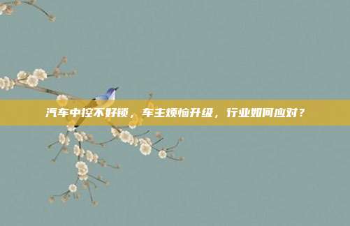 汽车中控不好锁，车主烦恼升级，行业如何应对？
